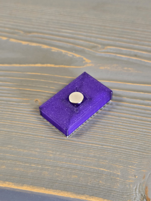 Аттрактант SITITEK Magnet Х2